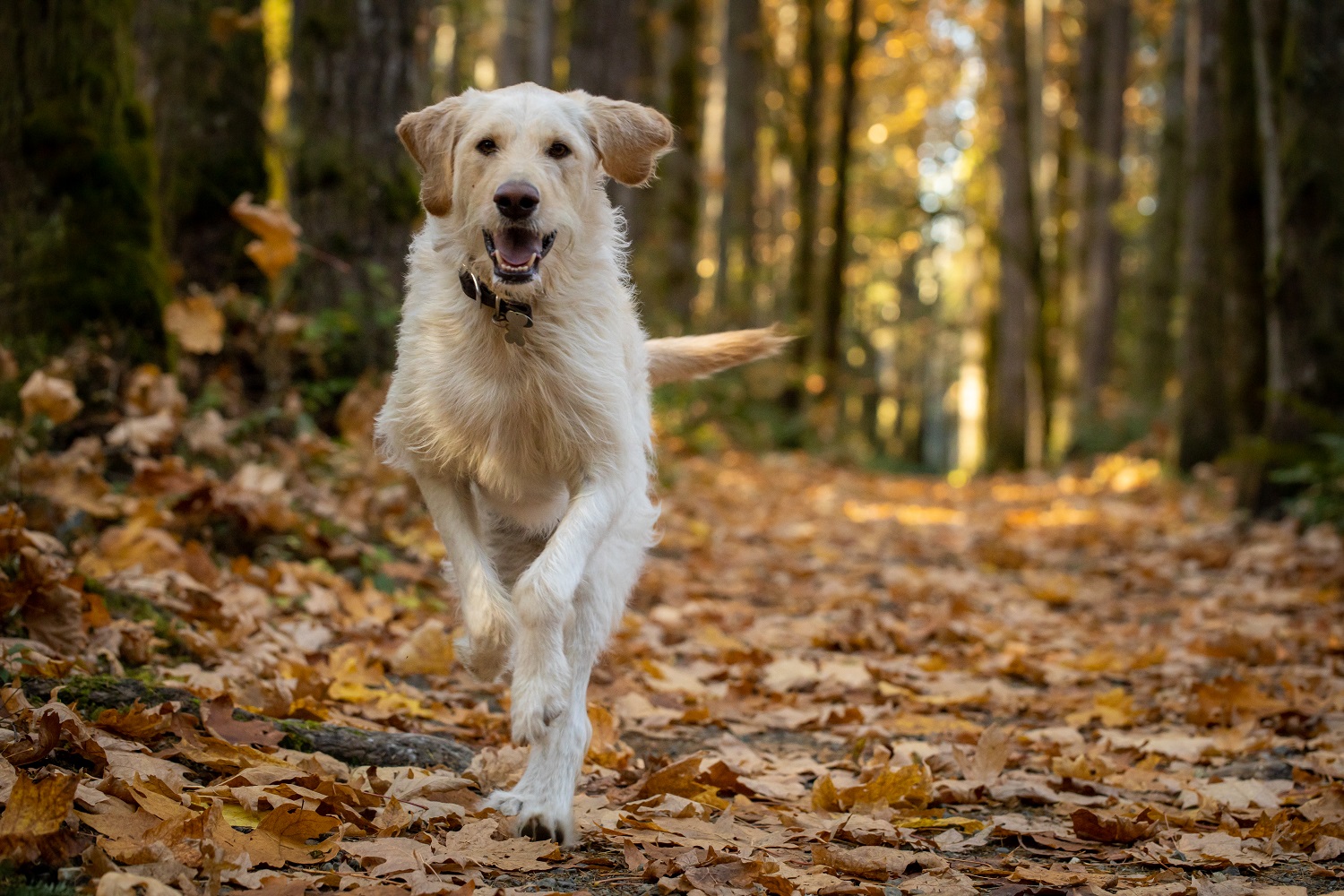 Photo: Shutterstock