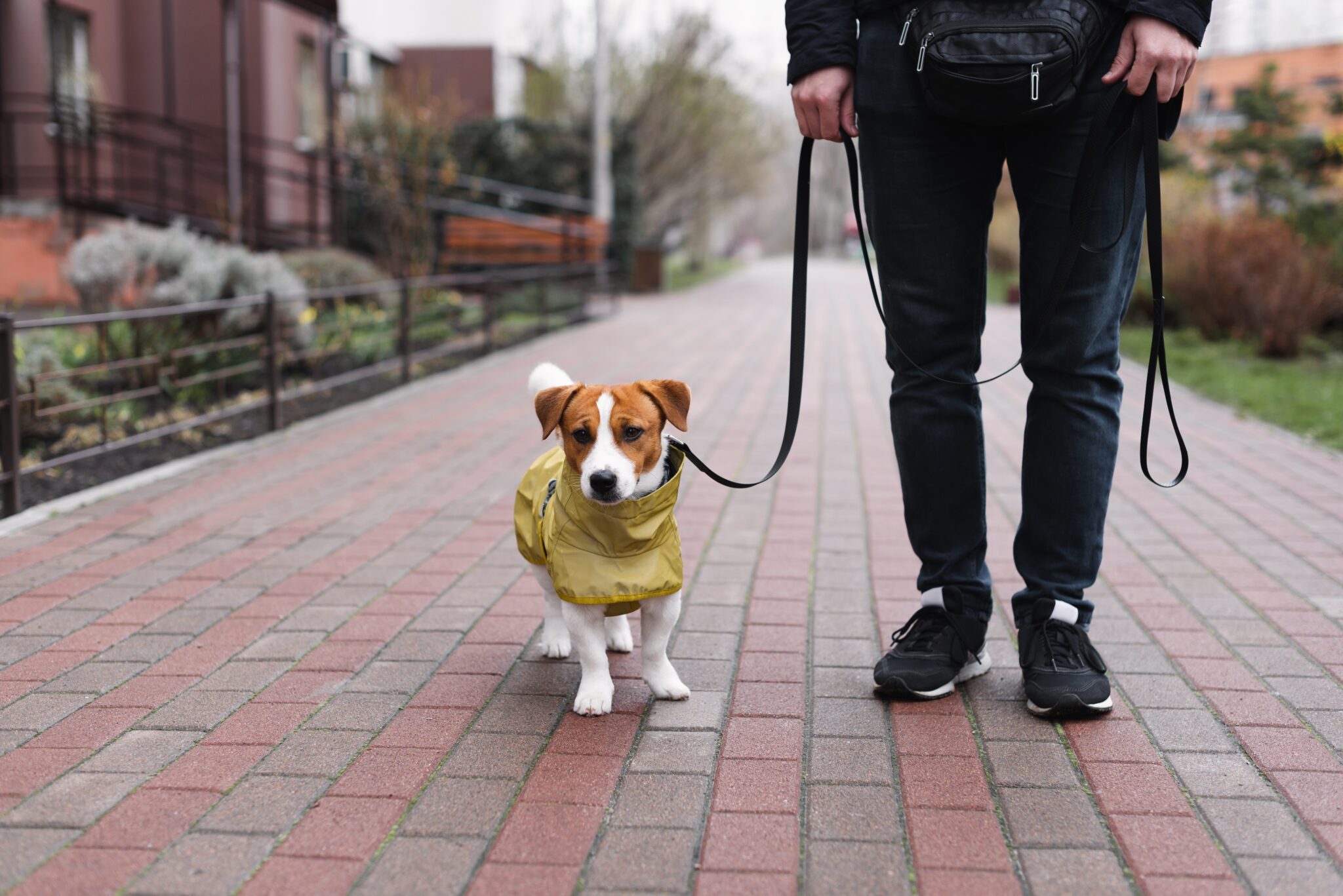 σκύλος με αδιάβροχο πηγαίνει βόλτα με τον κηδεμόνα του