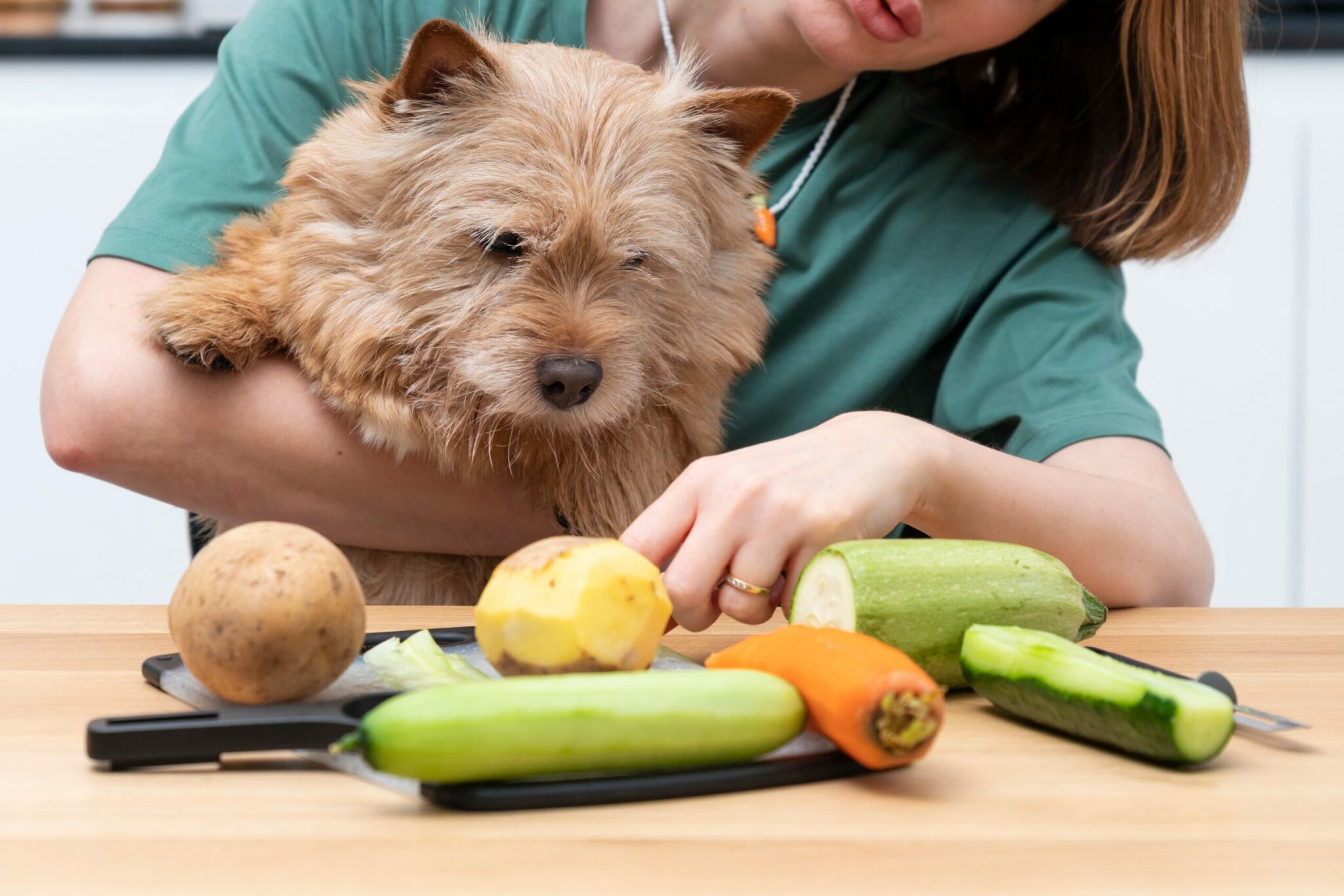 σκύλος κοιτάζει πατάτες και άλλα λαχανικά