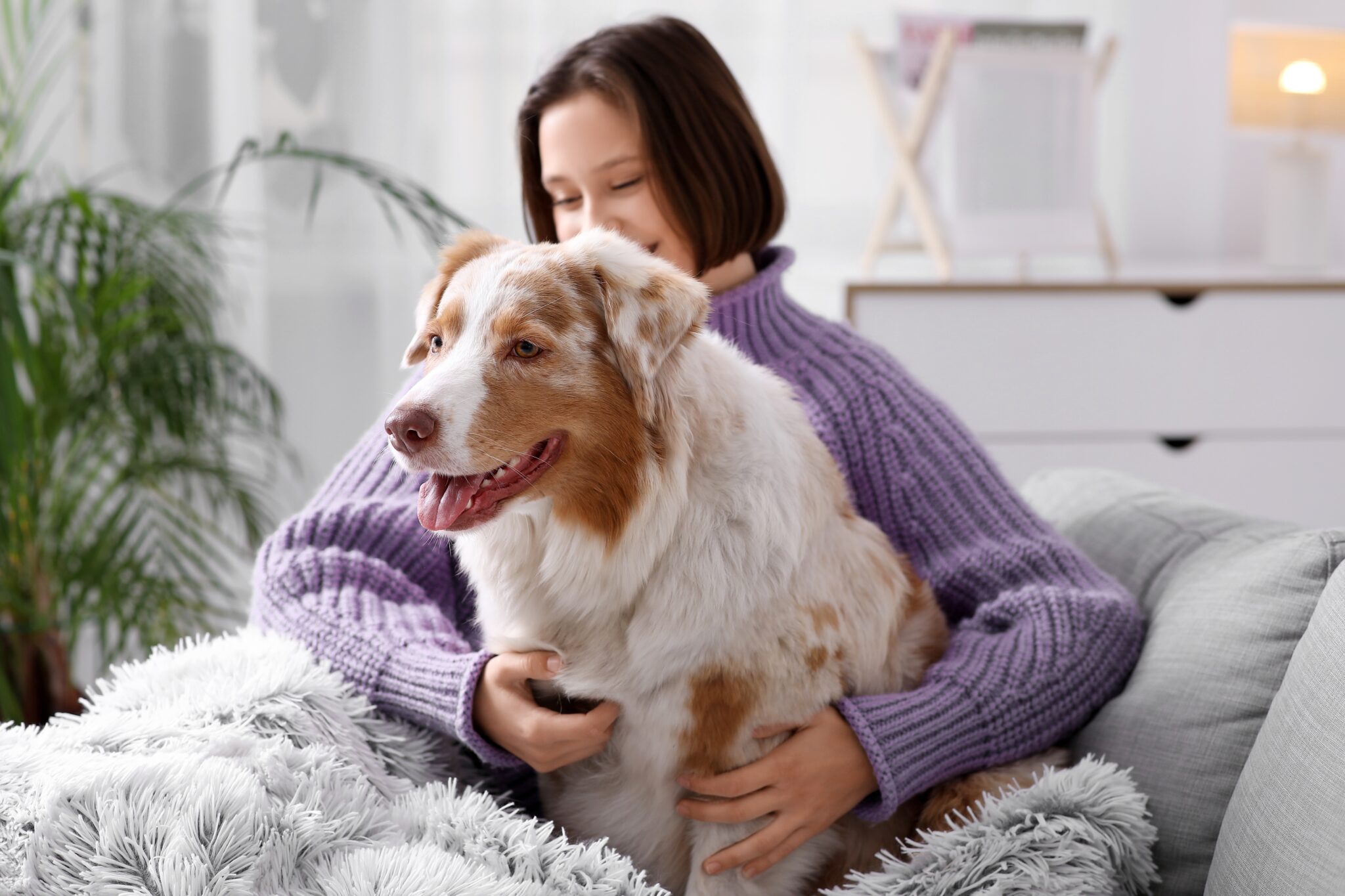 Χειμώνας και κατοικίδια: Συμβουλές φροντίδας για τις κρύες μέρες