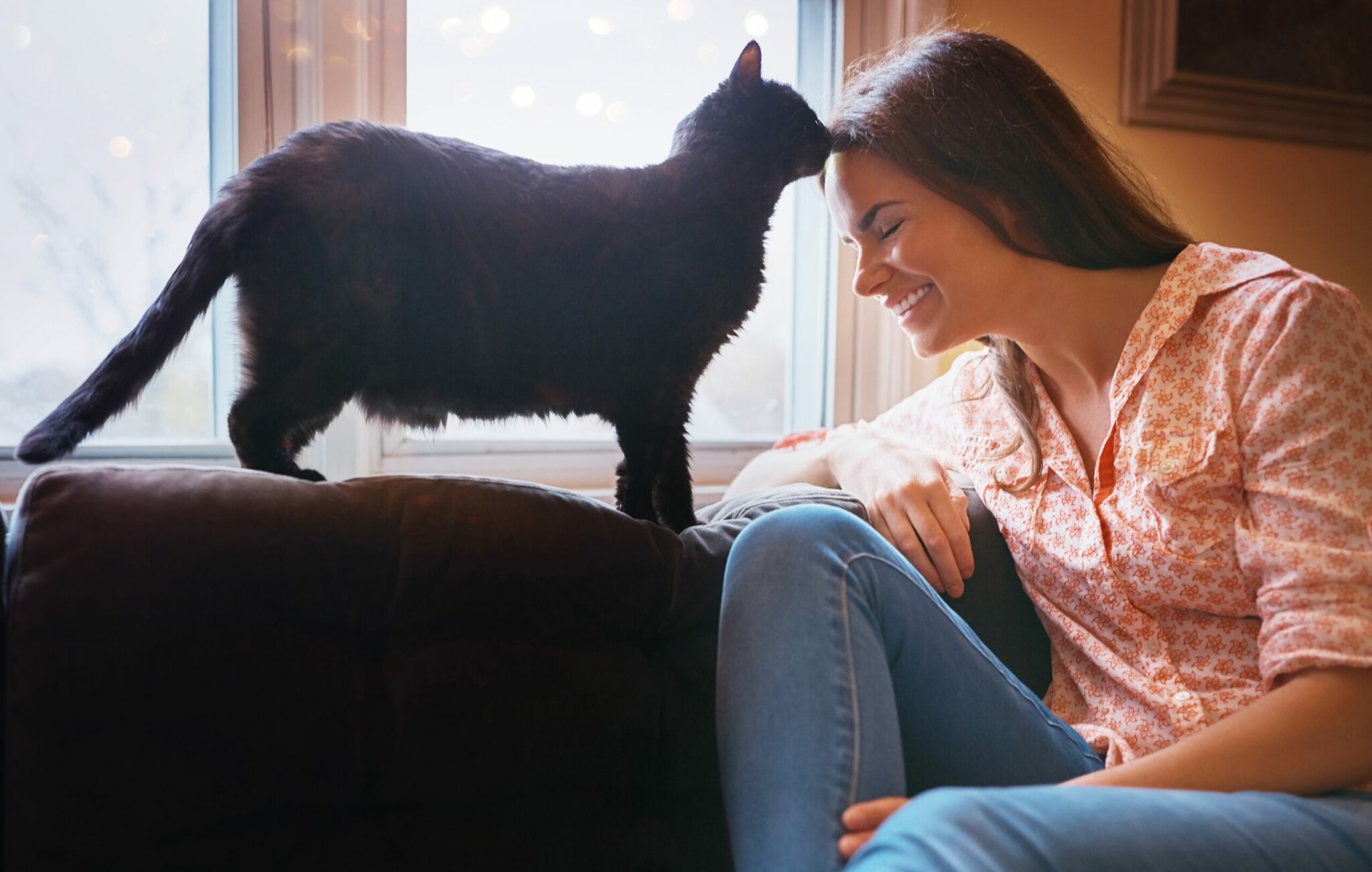 Γιατί σας κουτουλάει η γάτα σας;