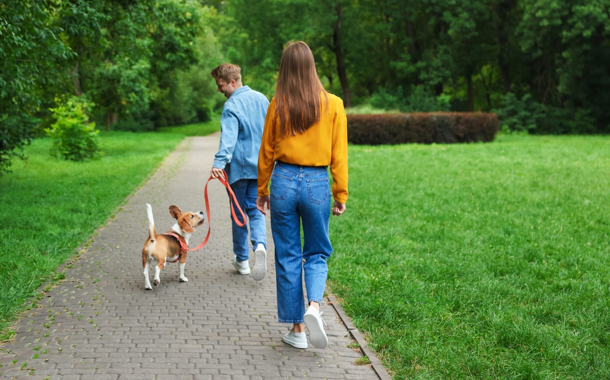 Ποιες είναι οι καλύτερες ώρες να βγάζουμε τον σκύλο μας βόλτα