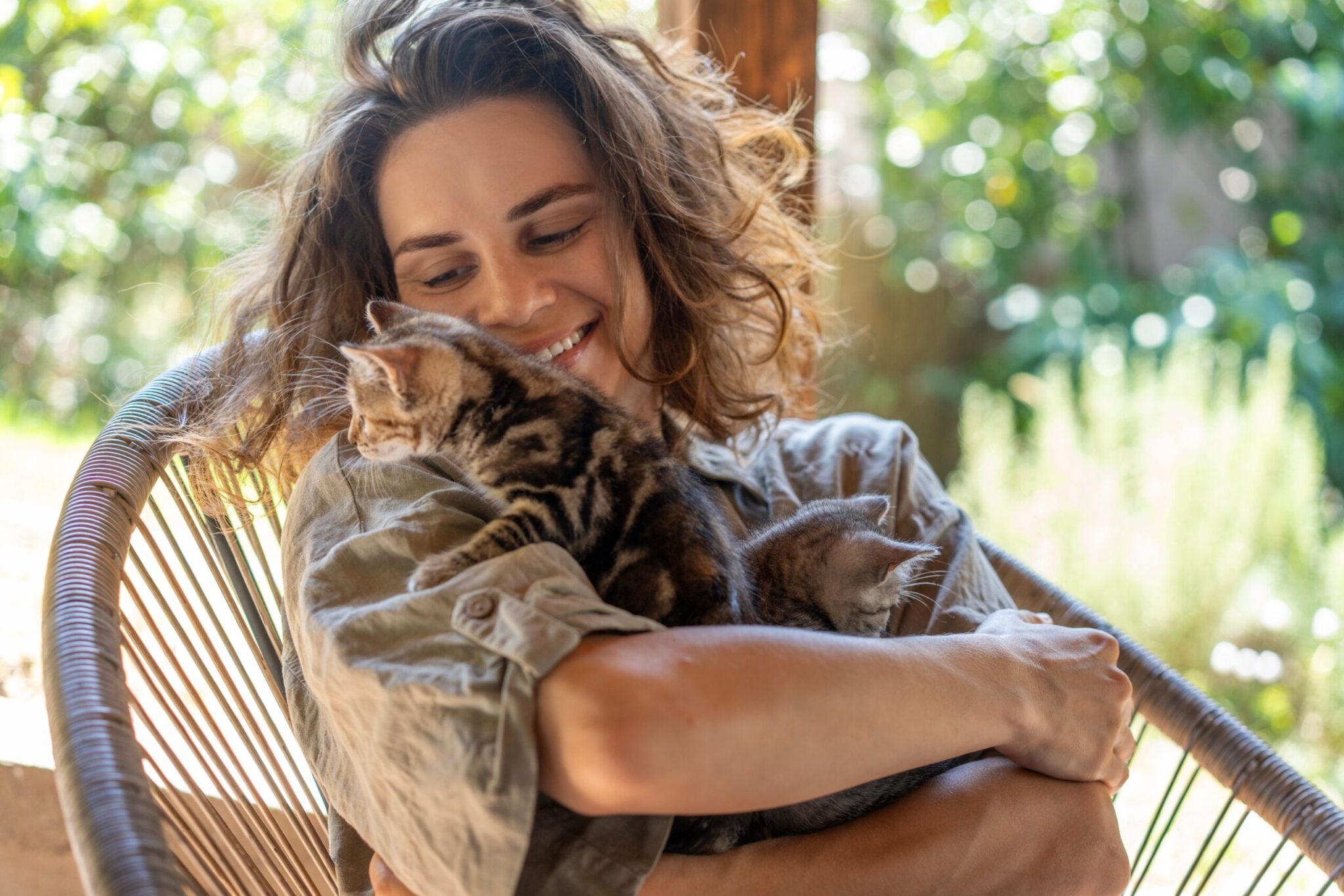 Γιατί οι γάτες tabby είναι τόσο ξεχωριστές